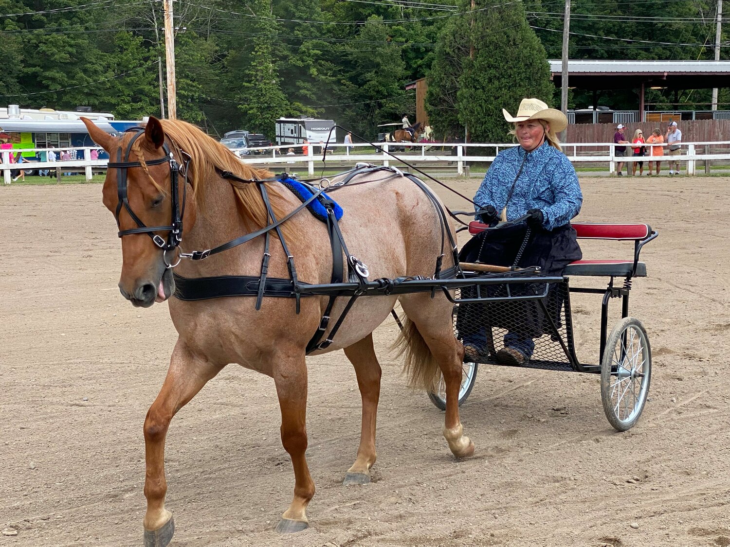 Mindy Tweedie competes in the open pleasure driving class, at the Delaware County Fairs Open Horse Show, Sunday, Aug. 13. Tweedie took home the day-end Driving Horse Grand Championship title.